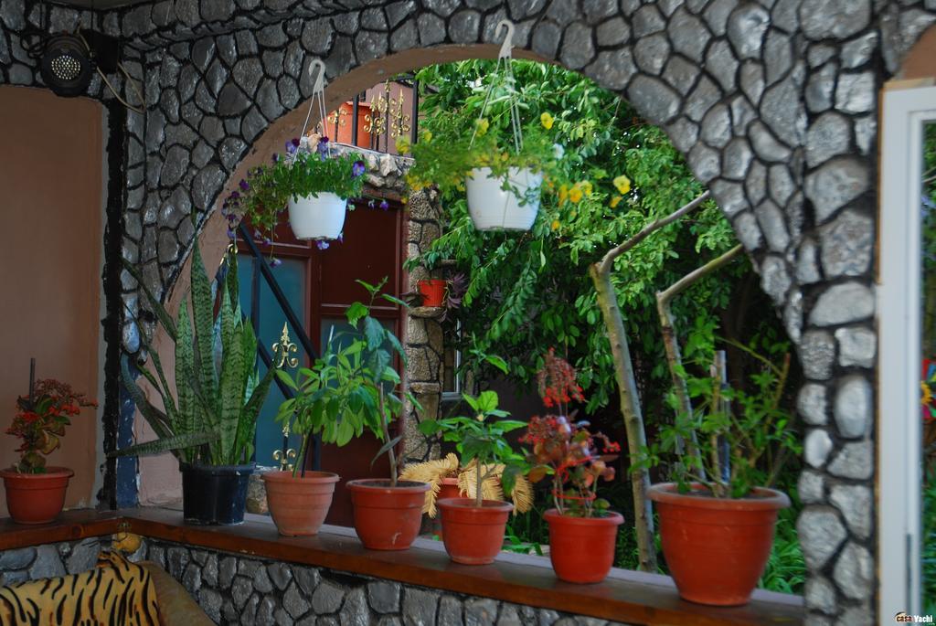 Hotel Casa Yachi Vama Veche Exterior foto