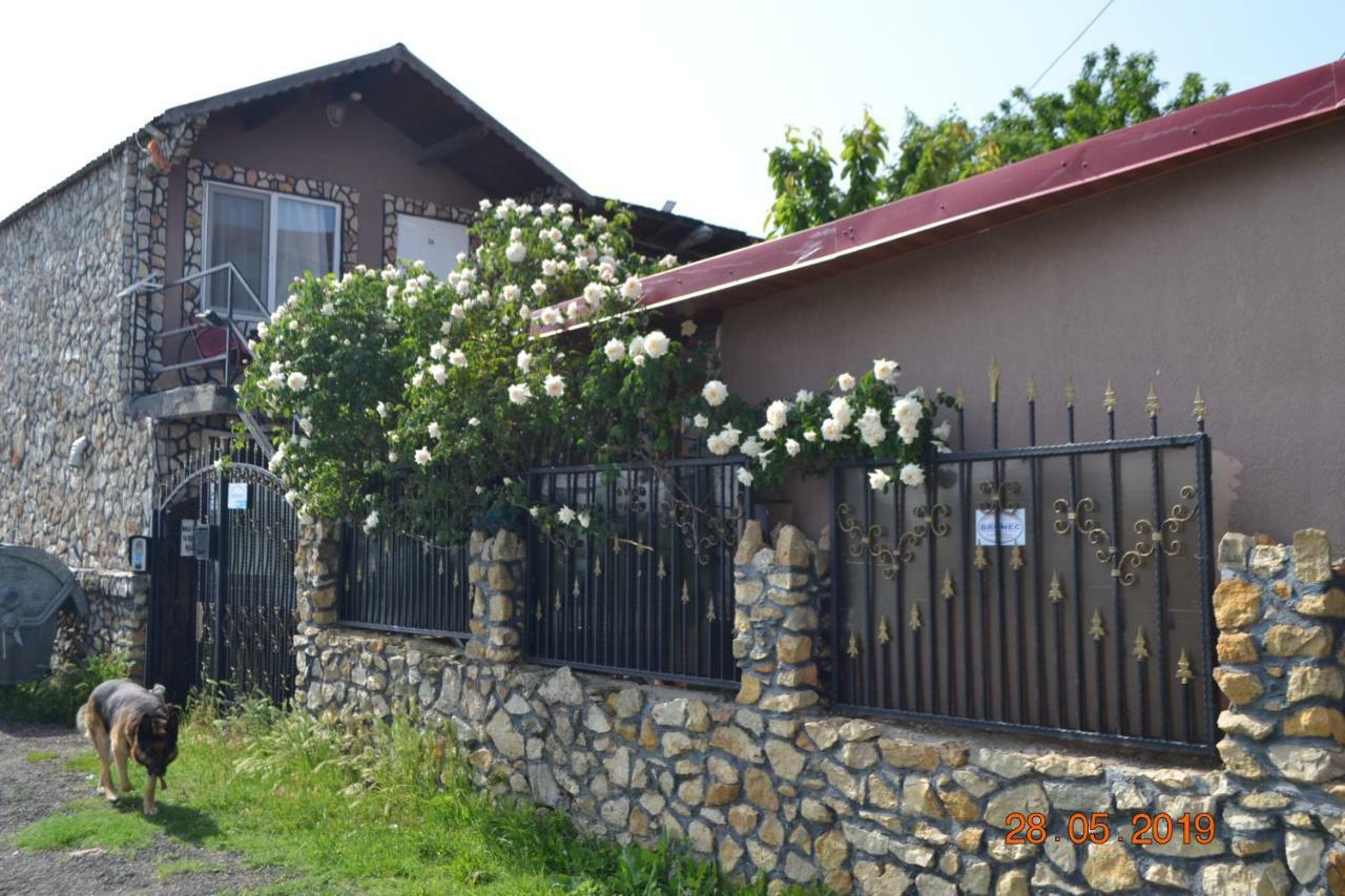 Hotel Casa Yachi Vama Veche Exterior foto
